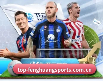 了解平台 - 体育资讯内容服务 | fhsports